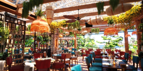 First Within - Coya Monte Carlo